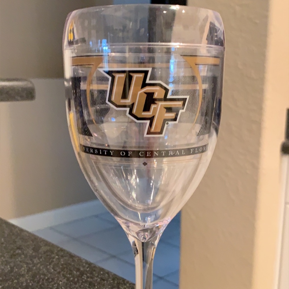 UCF Tervis Wine Glass